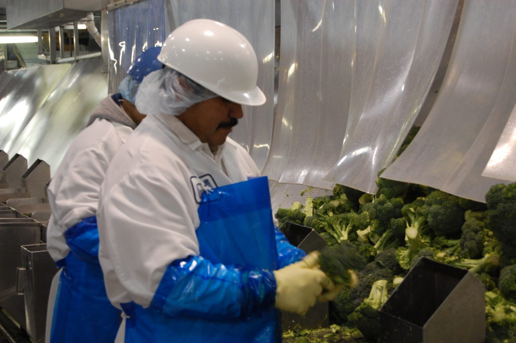 Worker with Broccoli