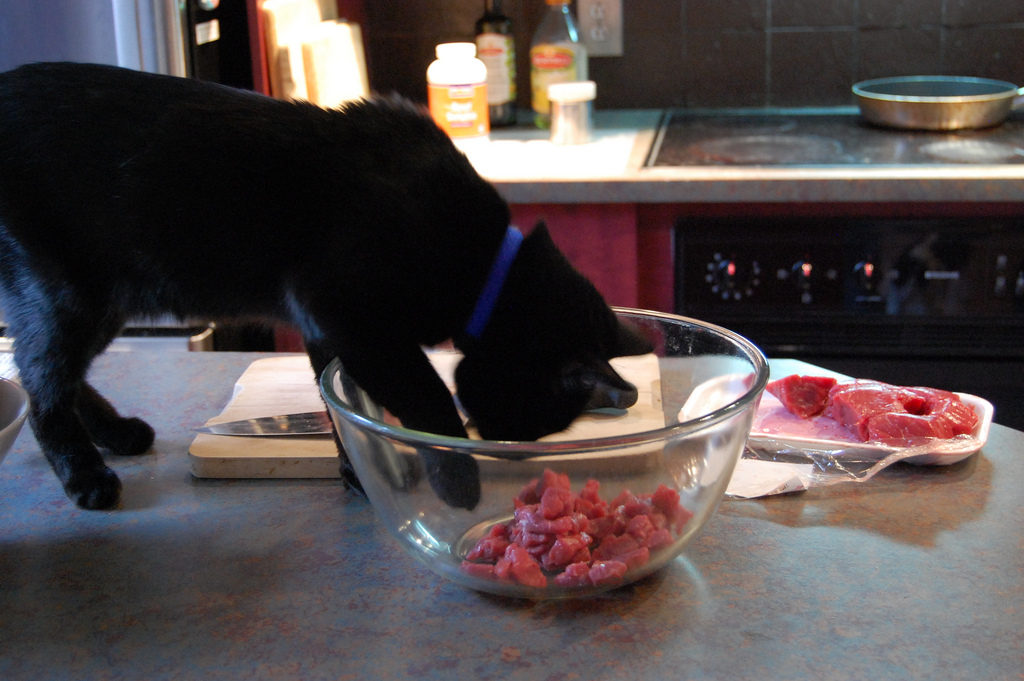 A cat sneaks a bit of raw meat in a bowl