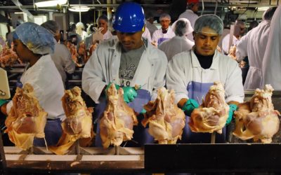 Poultry Workers