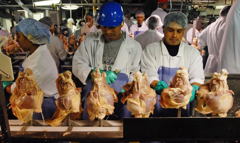 Poultry Workers