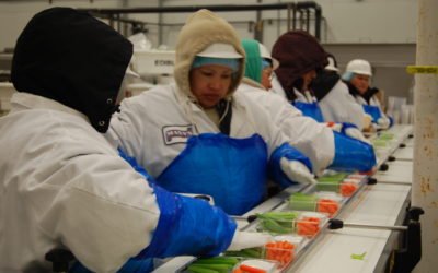 UFCW Local 5 members inside a plant processing carrots and celery