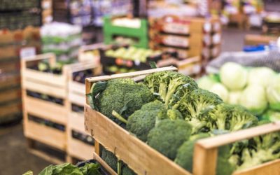 Close-up photo of fresh vegetable in a warehouse