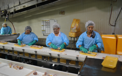 Poultry Workers Line Speed