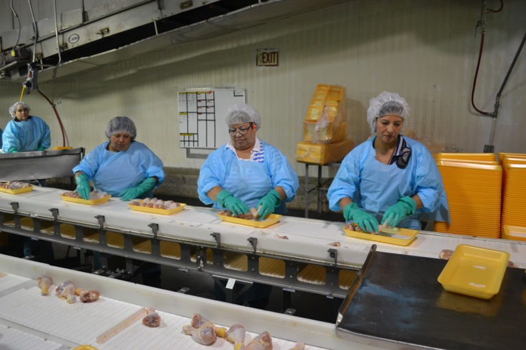 Poultry Workers Line Speed