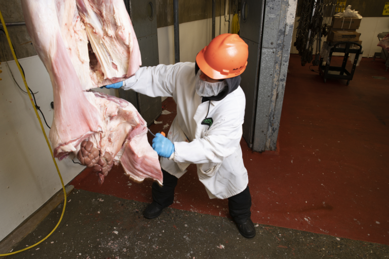 Meat Industry Deal
