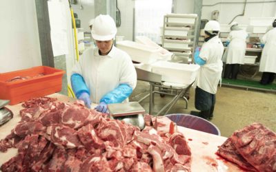 Region 6 Meat Packing Workers