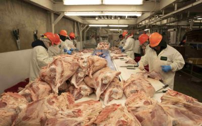 Local 342 Meat Packers