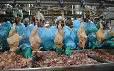 Pilgrim's Pride, JBS Texas Worksite