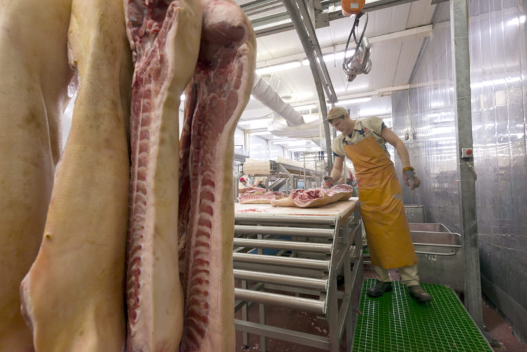 Butcher cutting meat on the Food Processing Plant