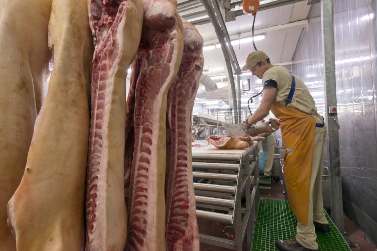 Butcher cutting meat on the Food Processing Plant